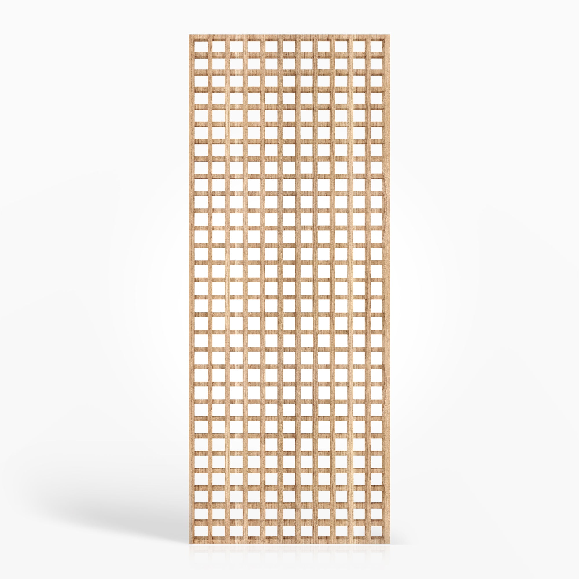 Slat Door