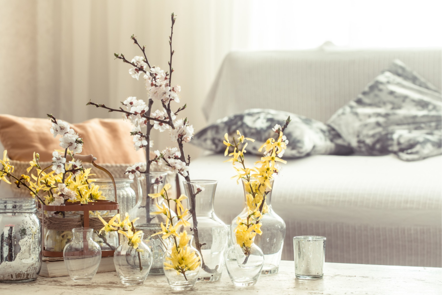 Pamper Haus Design Shop